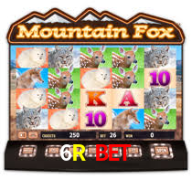 Bônus de Boas-vindas 6R Bet